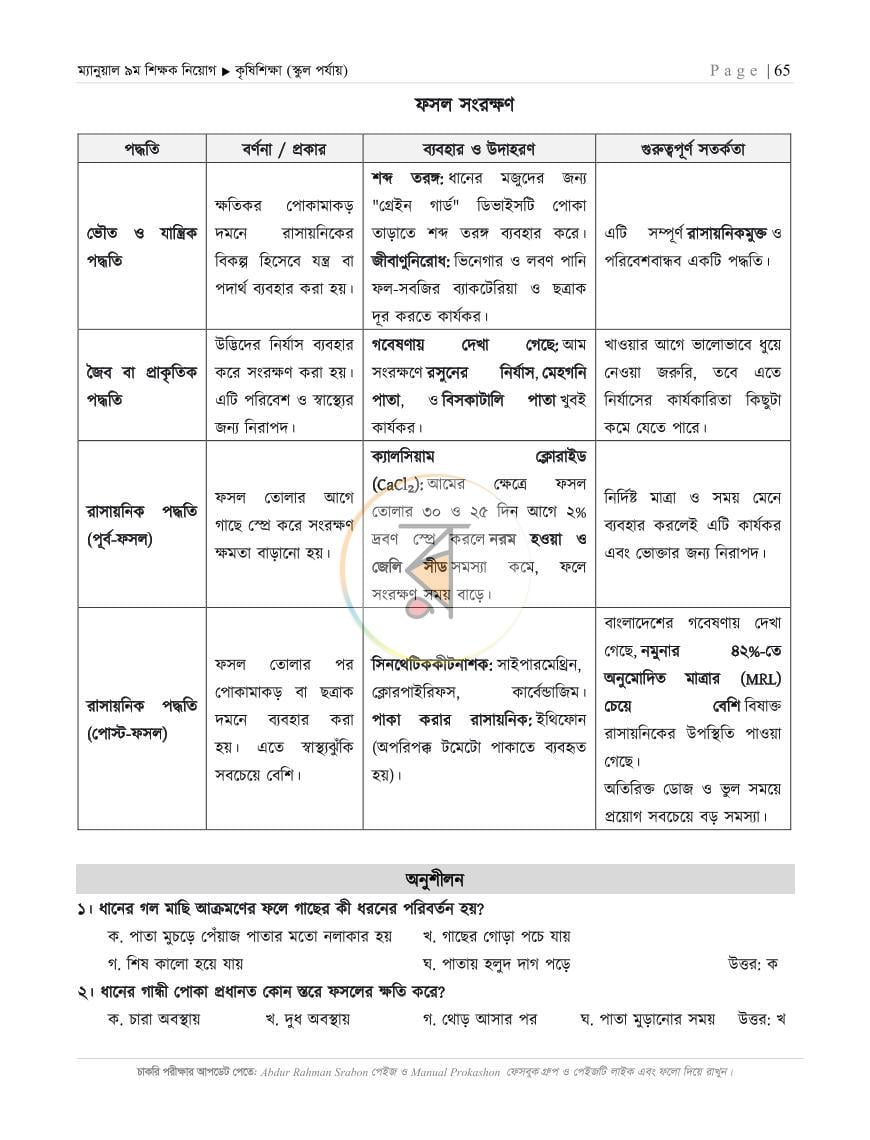 পাতা 13