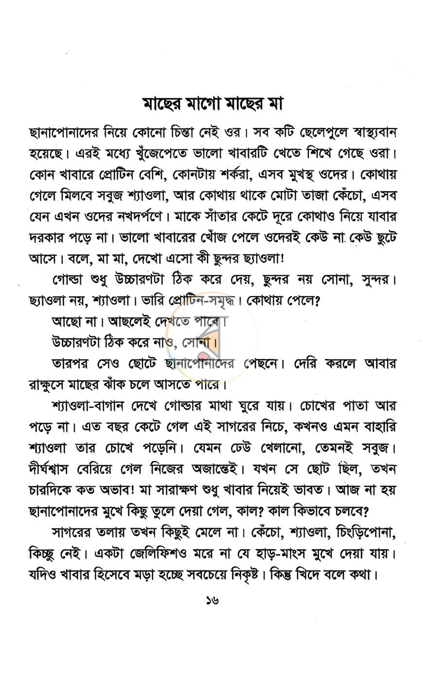পাতা 13