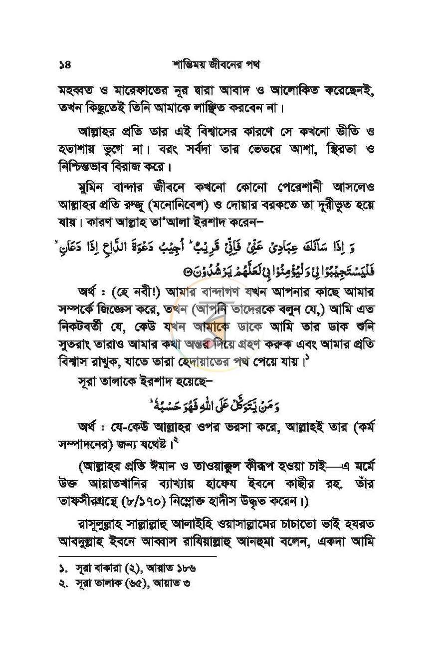 পাতা 13