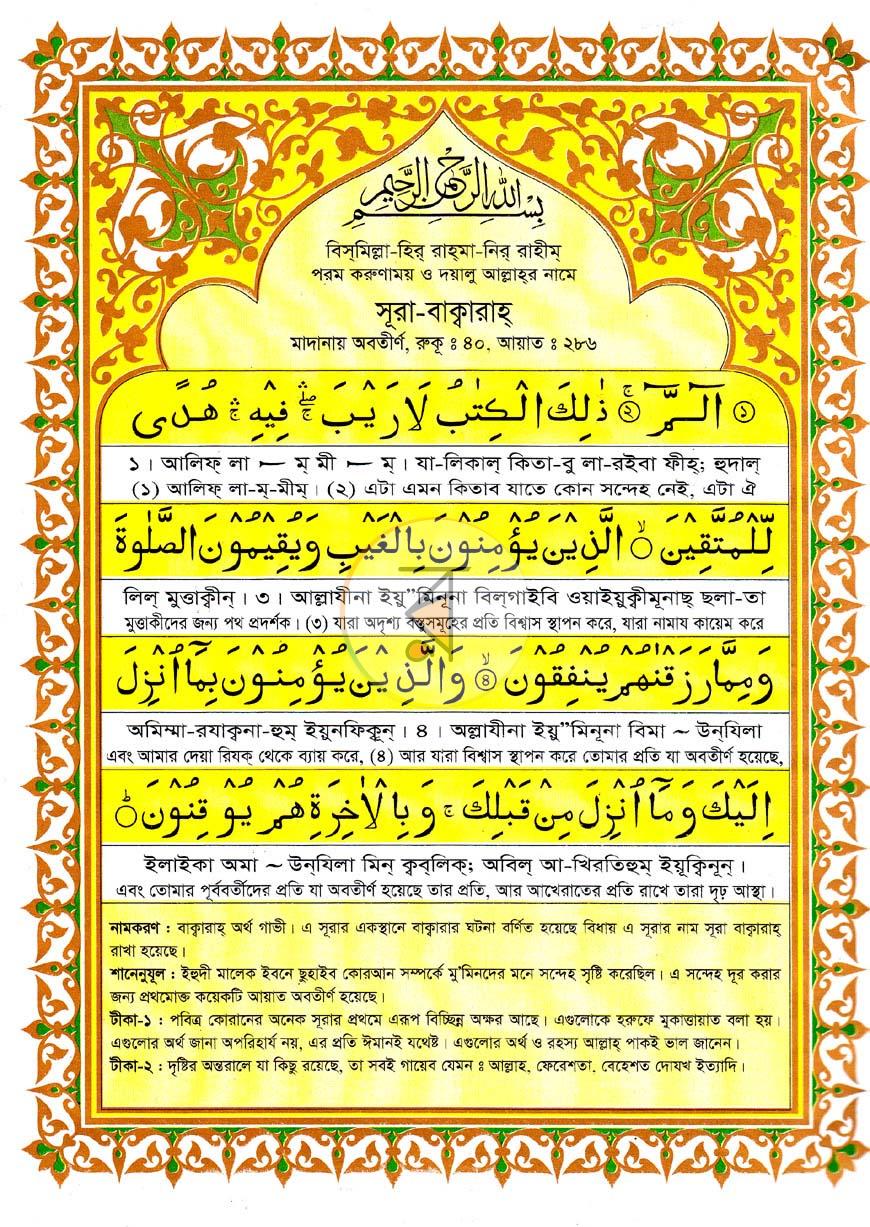পাতা 8
