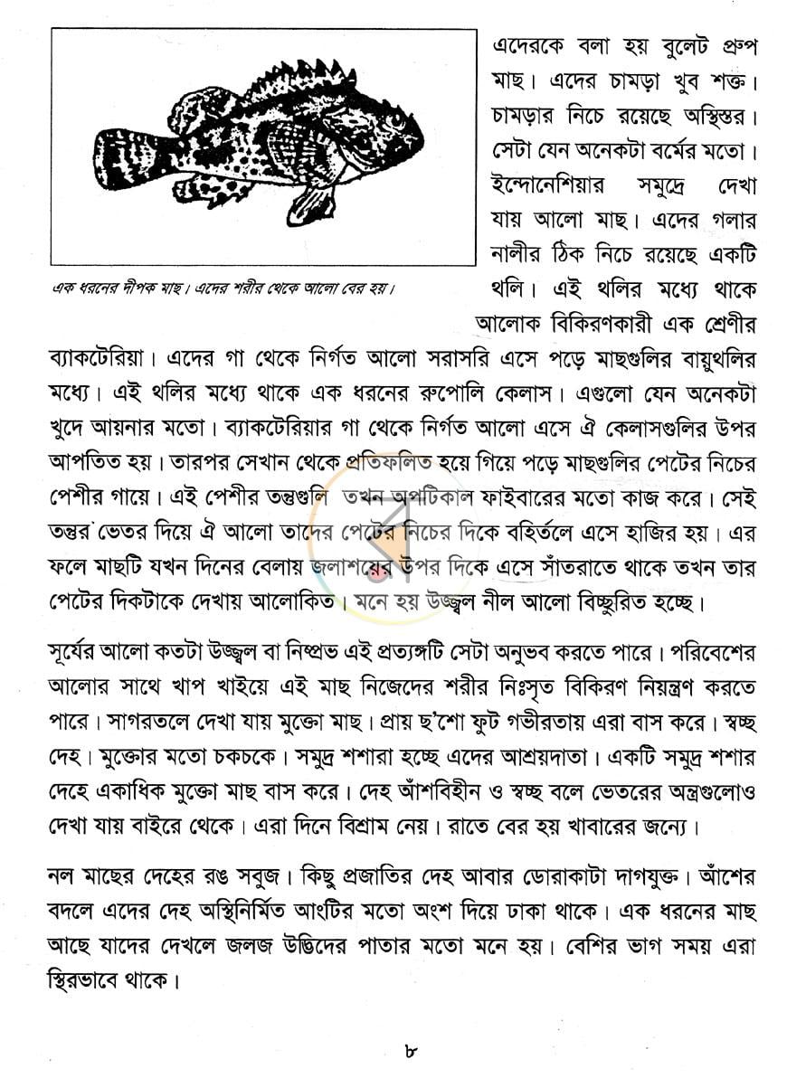 পাতা 6