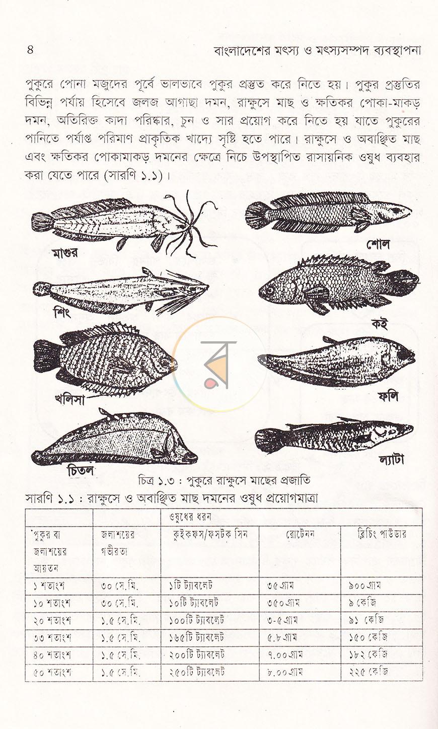 পাতা 8