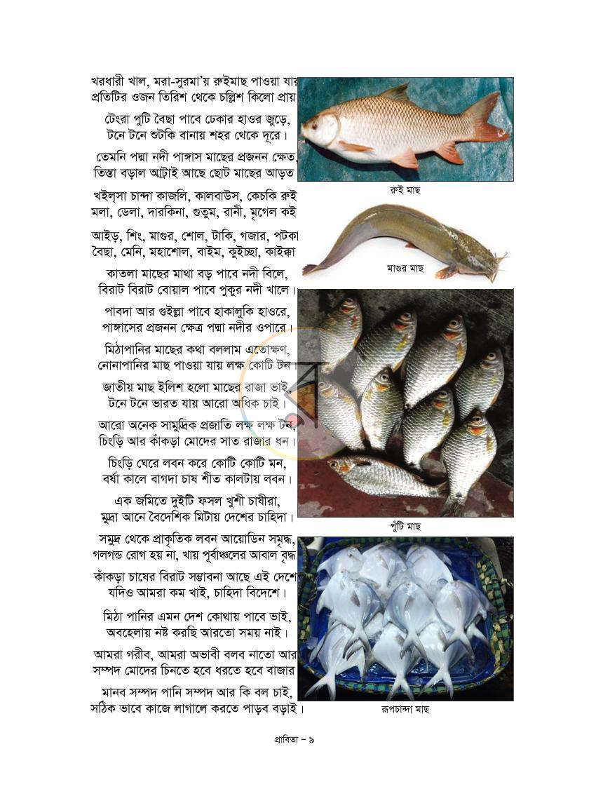 পাতা 3