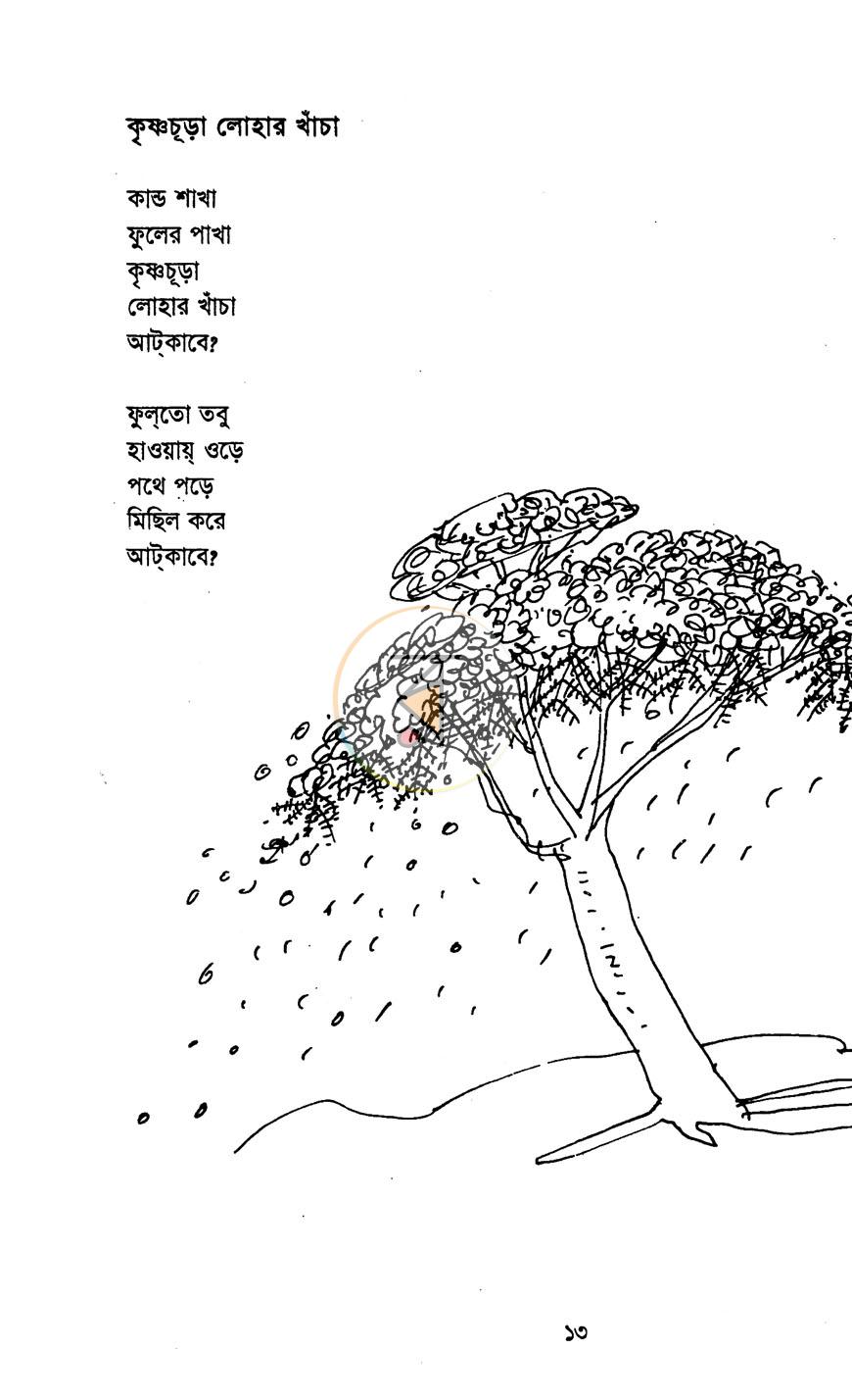 পাতা 8