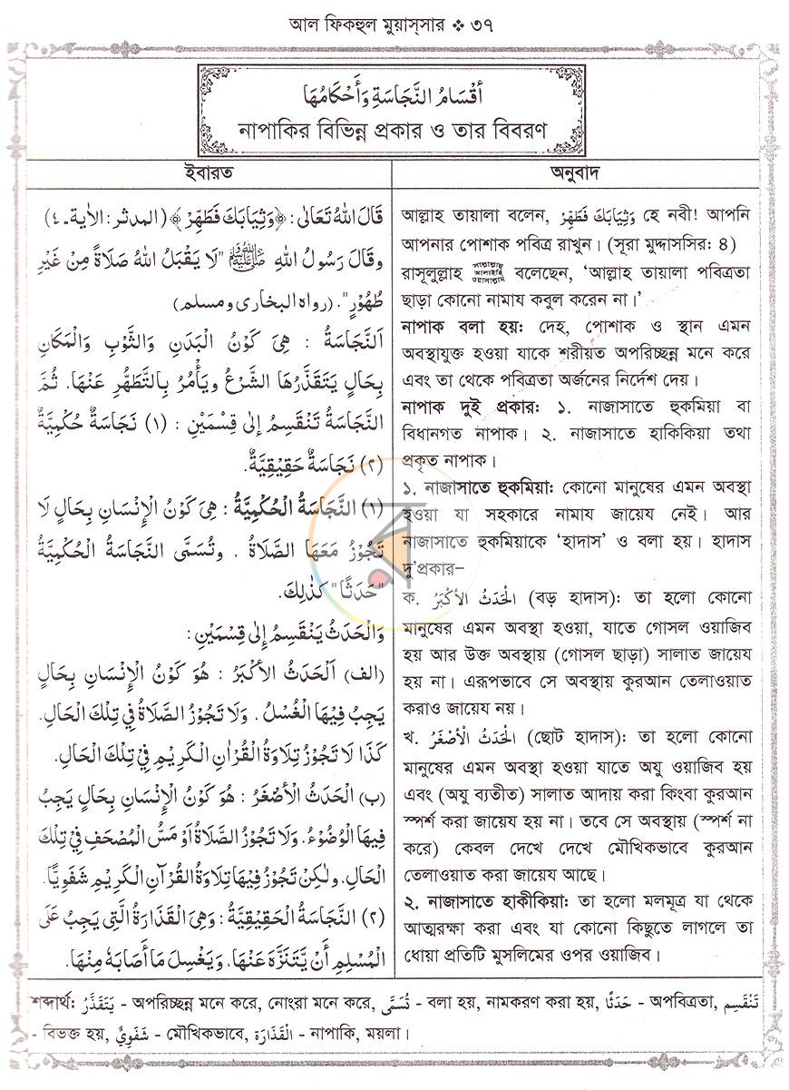 পাতা 11