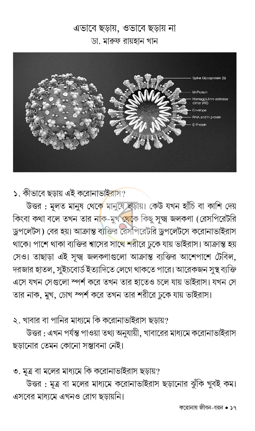 পাতা 11