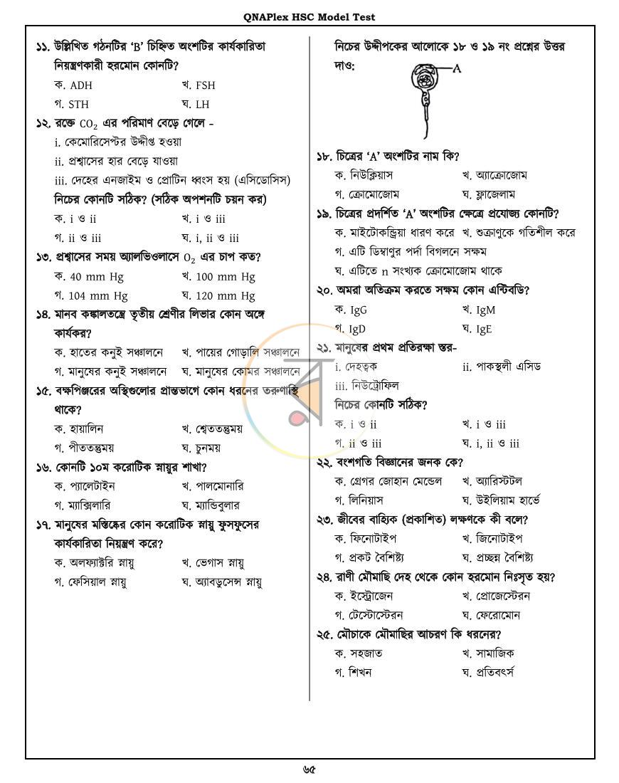 পাতা 12