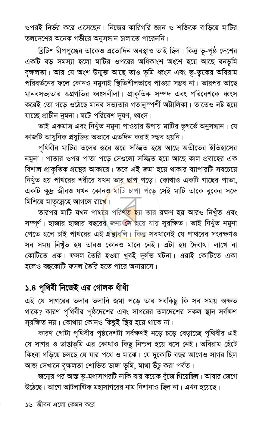পাতা 11