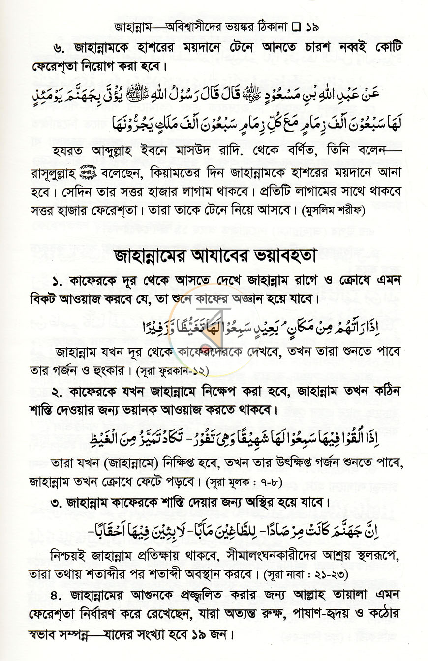 পাতা 11
