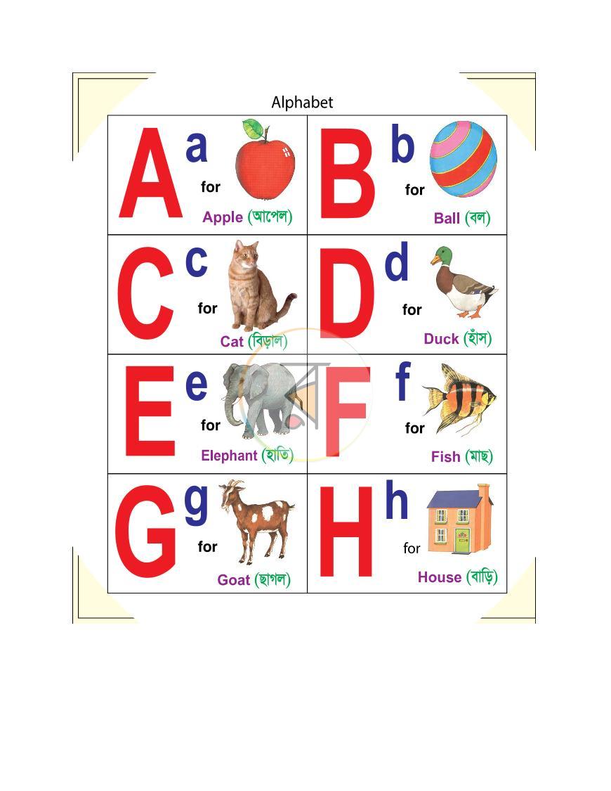 পাতা 5