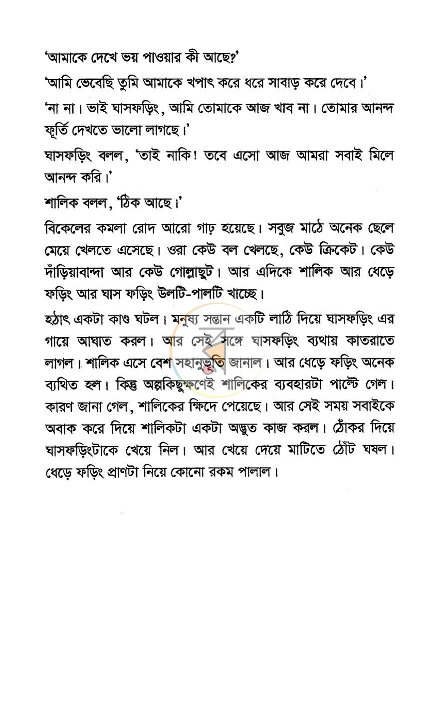 পাতা 11