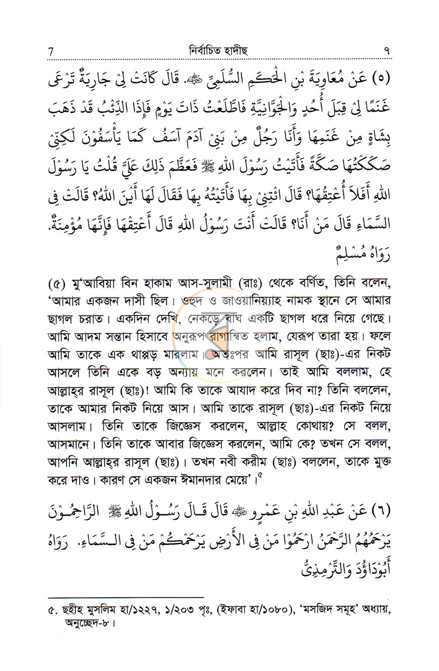 পাতা 6