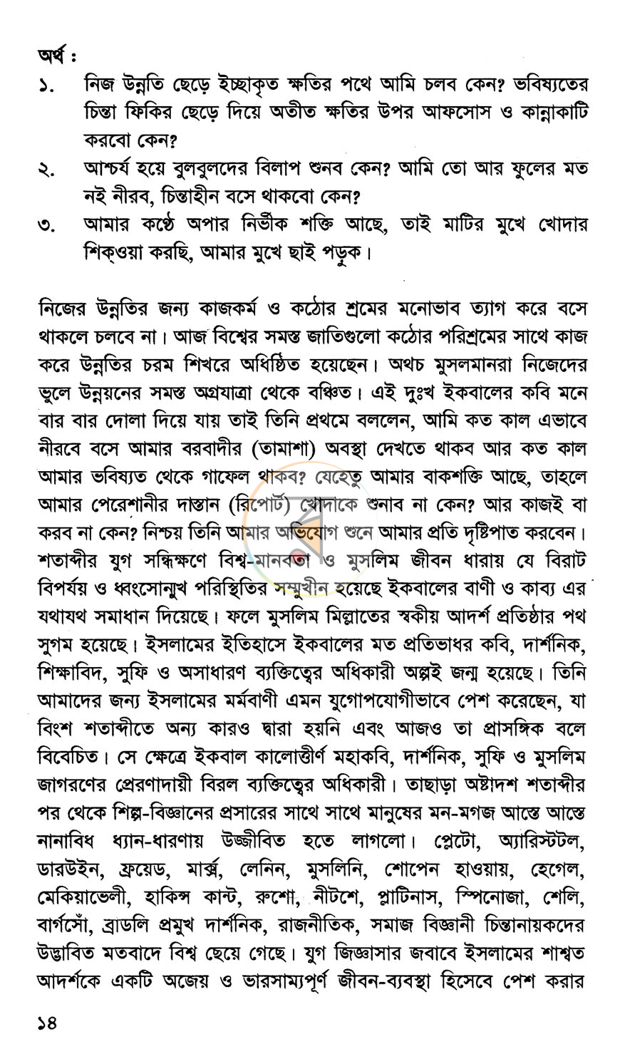 পাতা 8