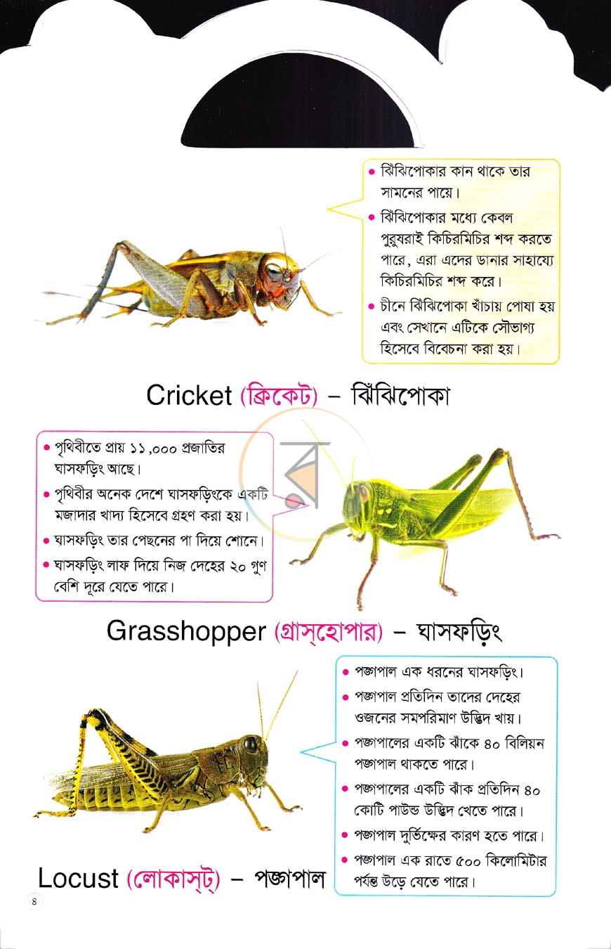 পাতা 3