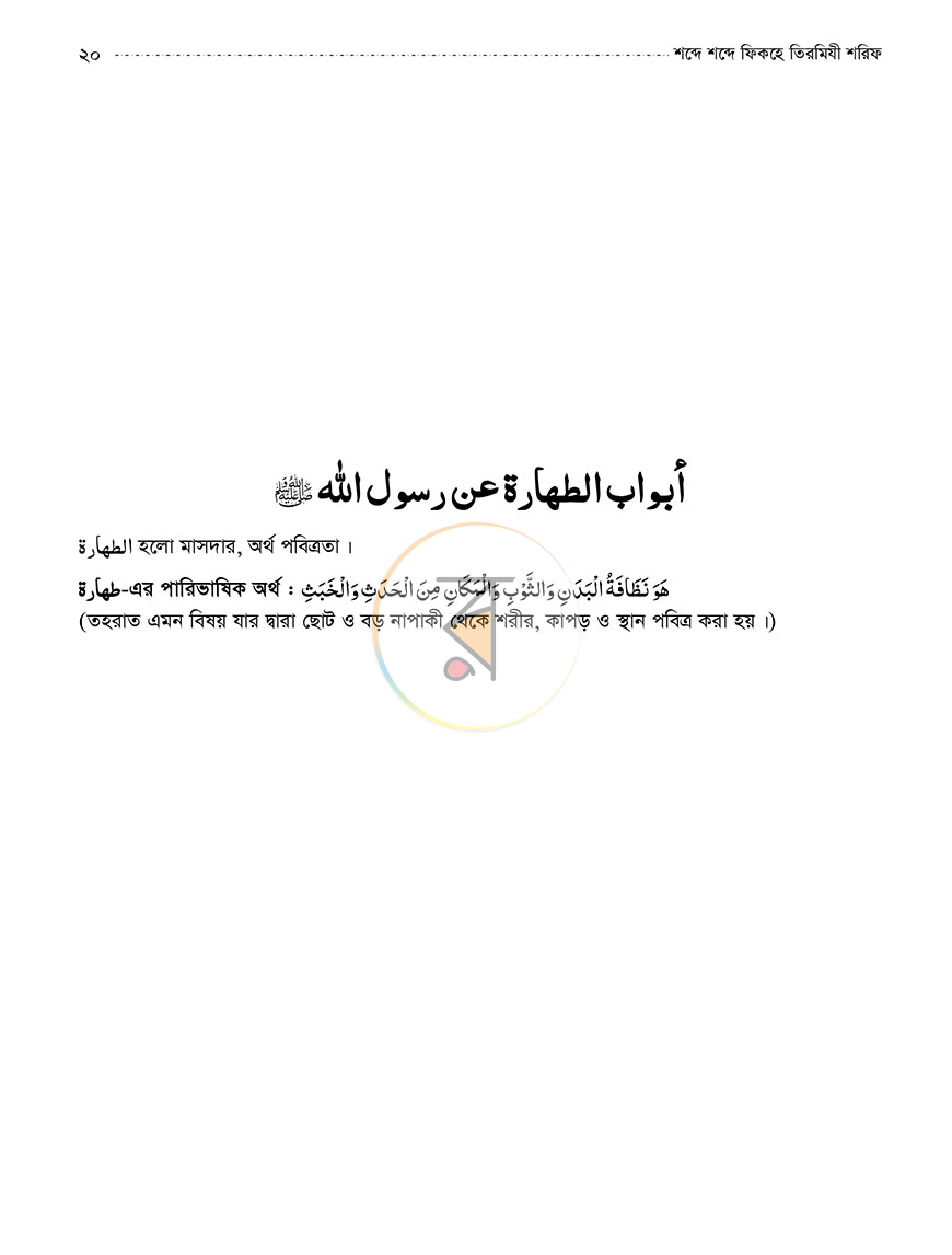 পাতা 13