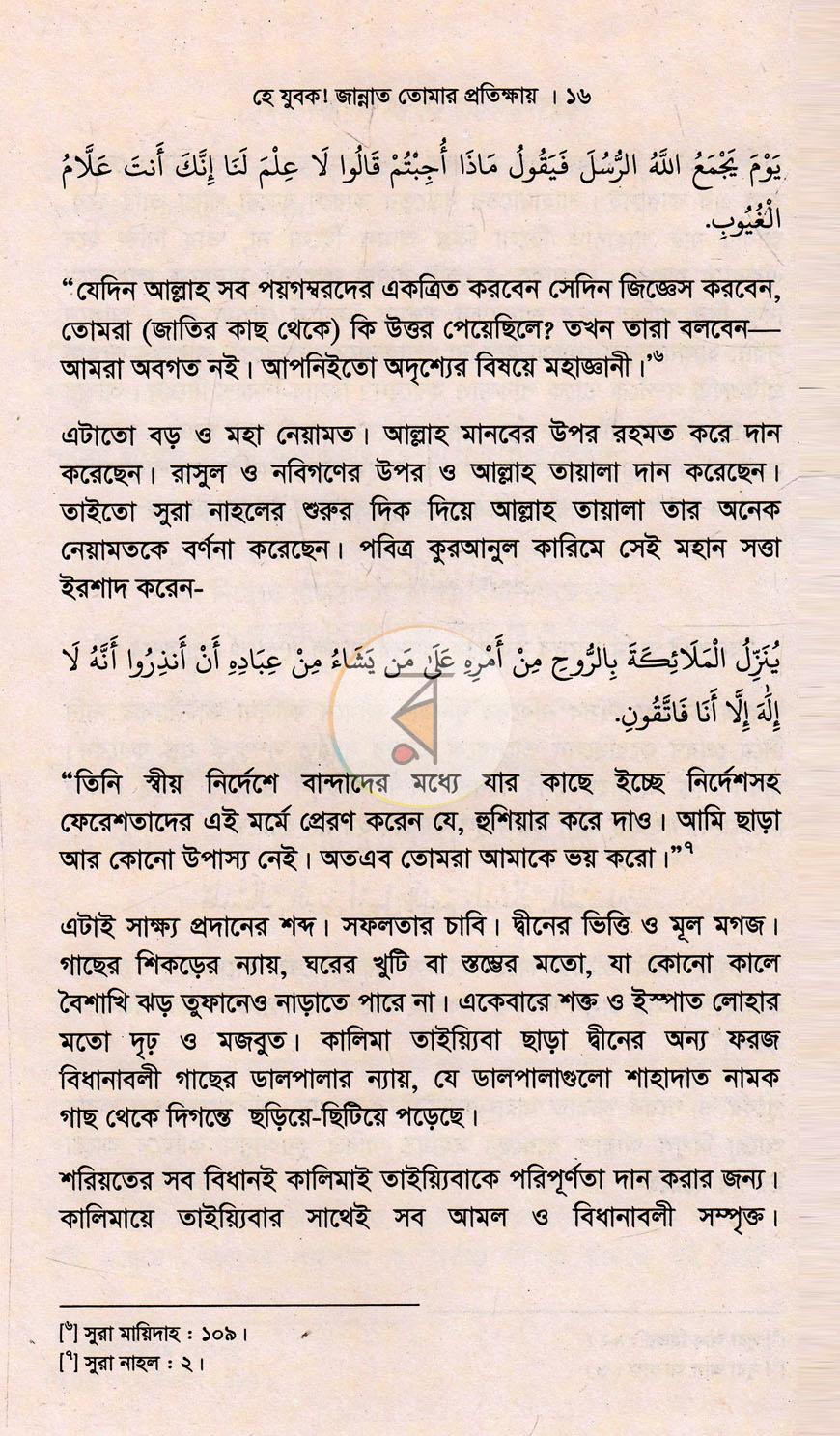 পাতা 10