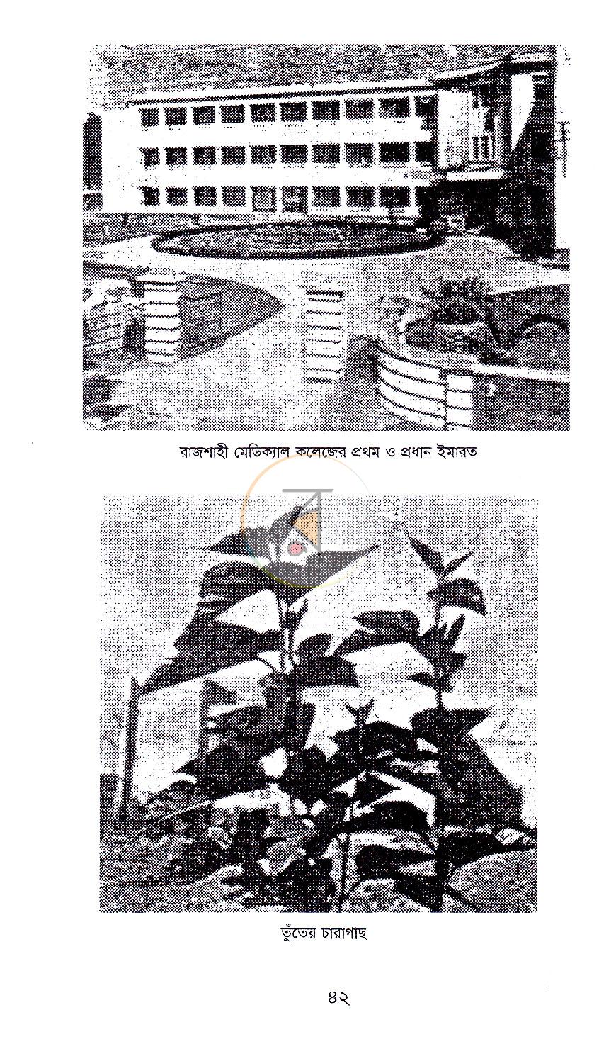 পাতা 17