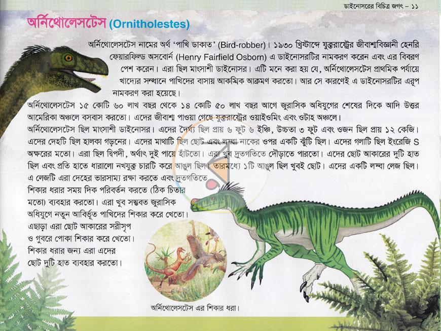 পাতা 9