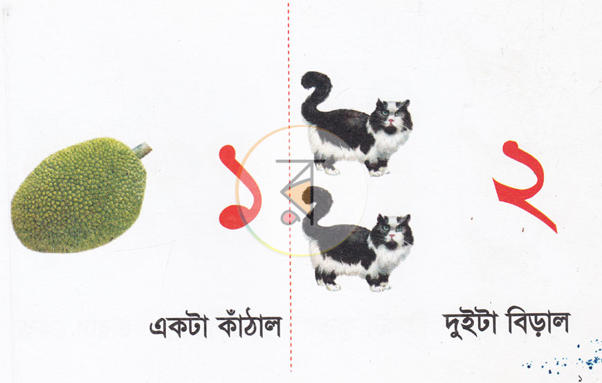 পাতা 1