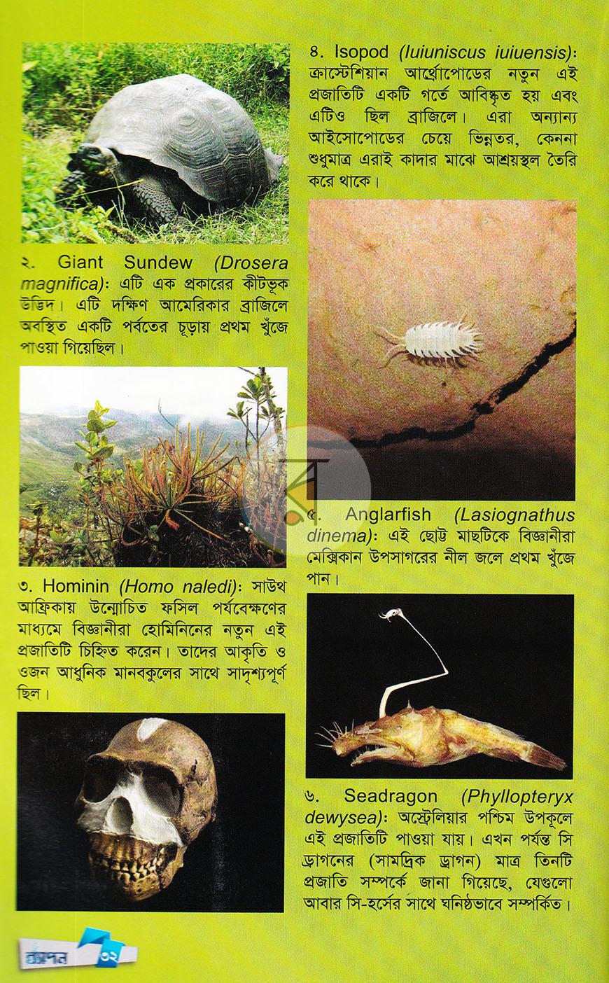 পাতা 29