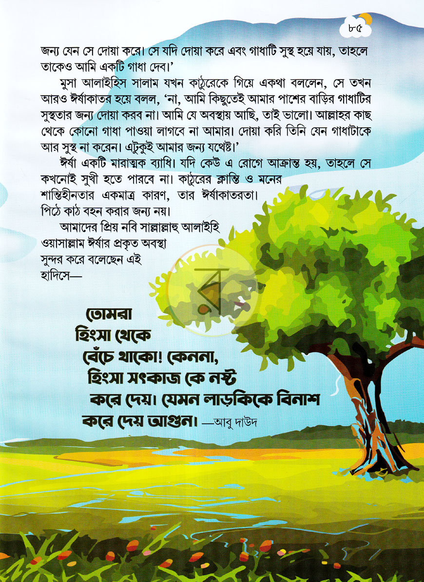 পাতা 11