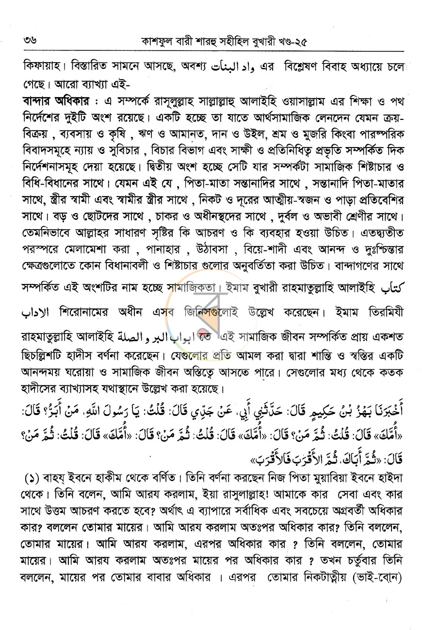 পাতা 11