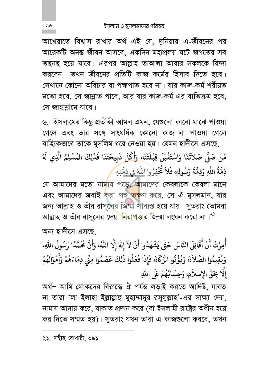 পাতা 12