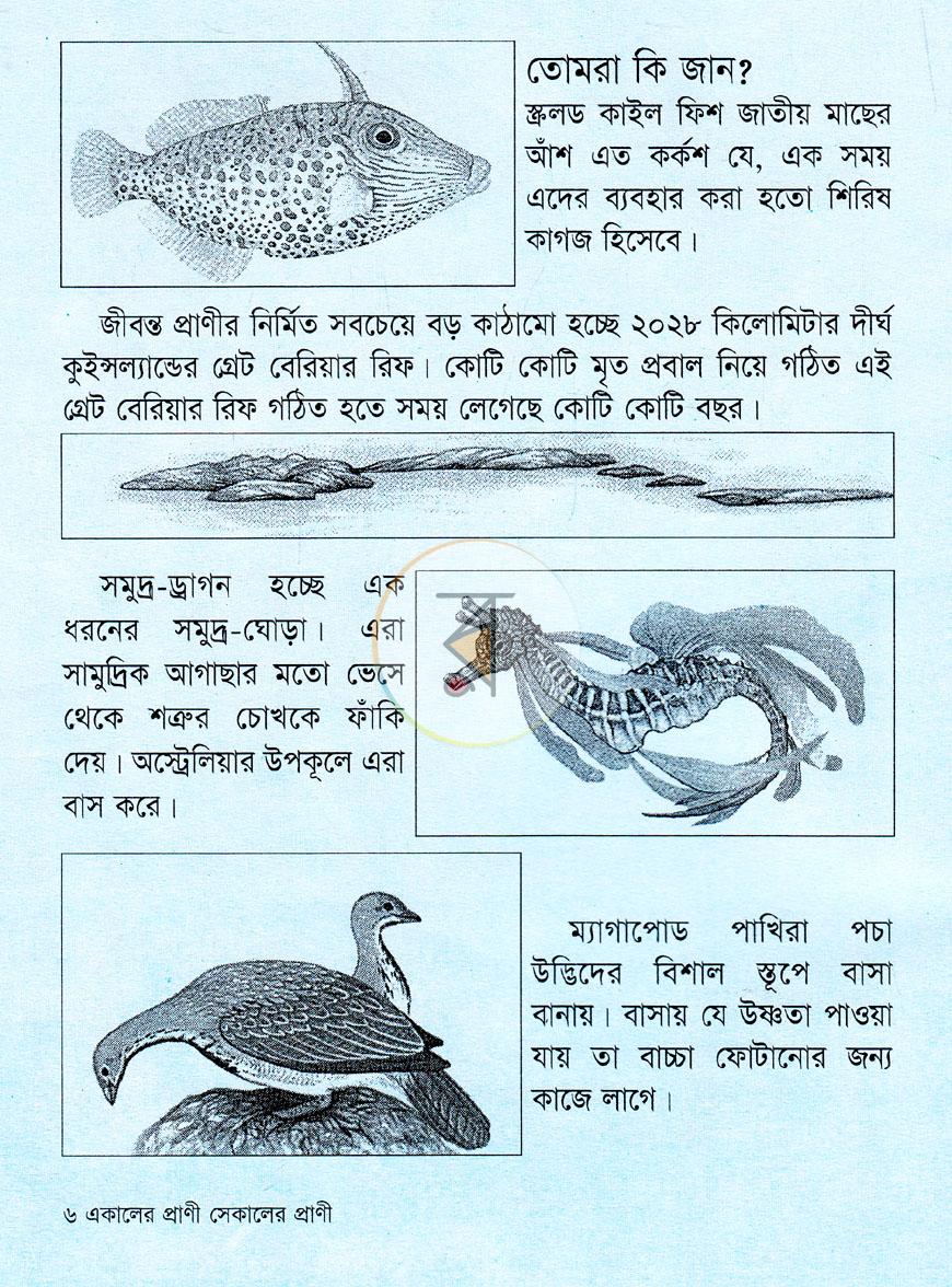 পাতা 4
