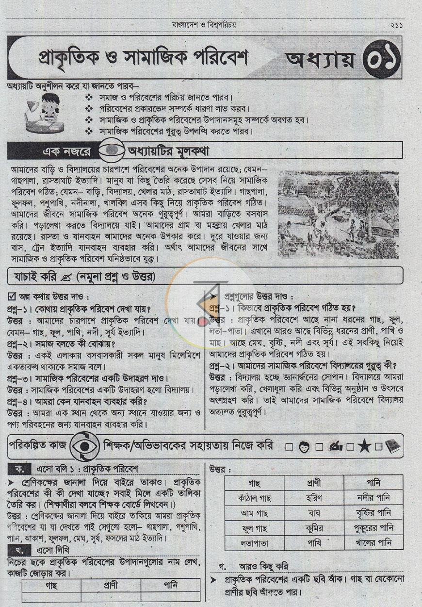 পাতা 13