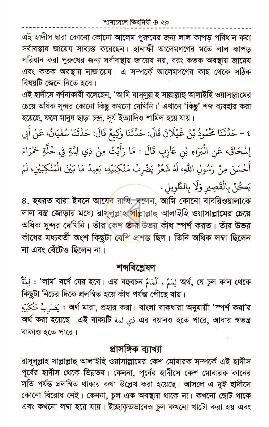 পাতা 10