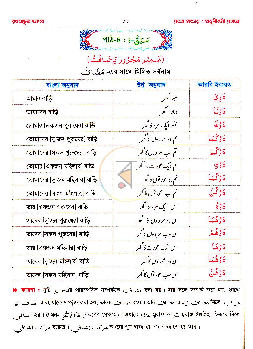 পাতা 11