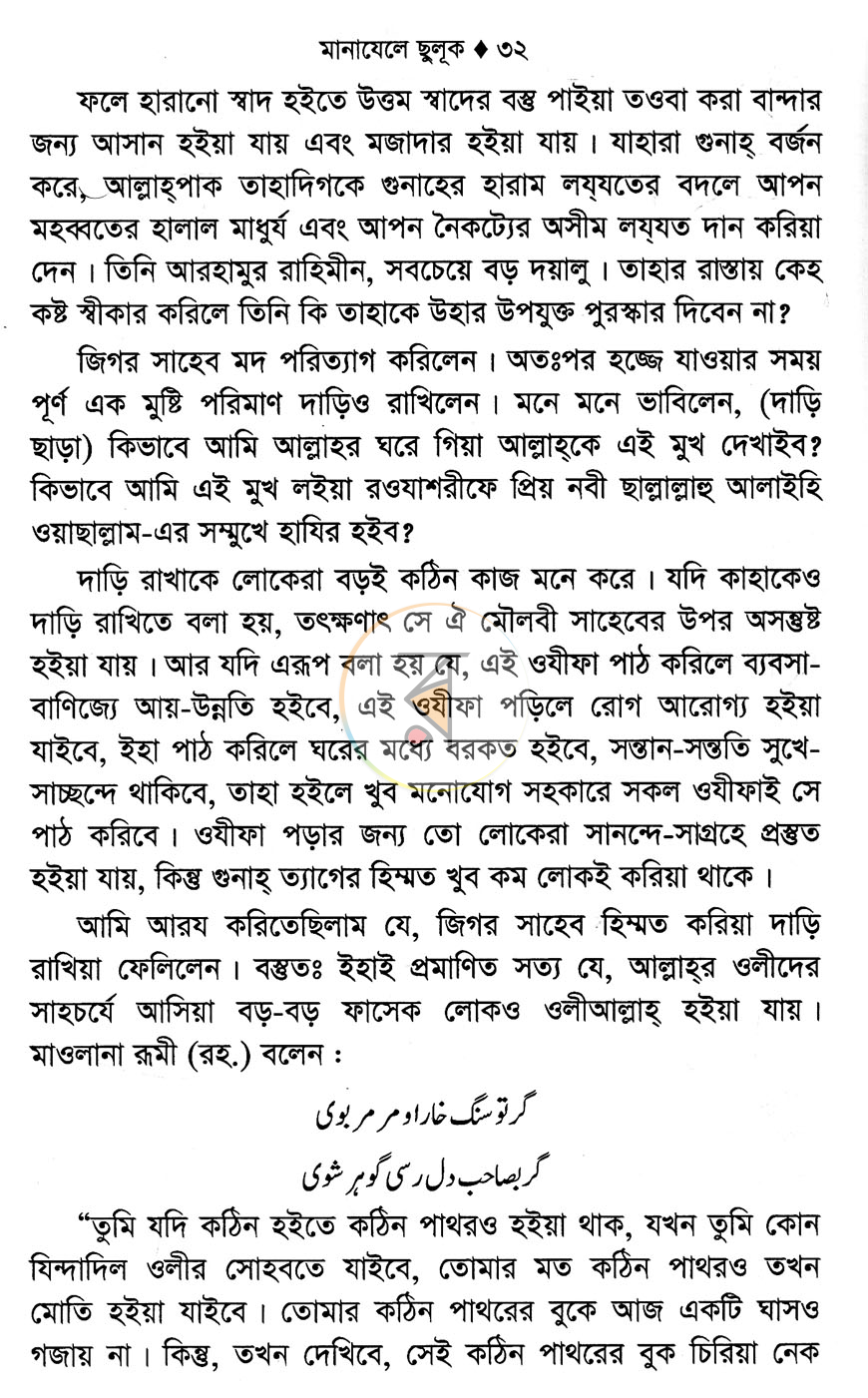 পাতা 13