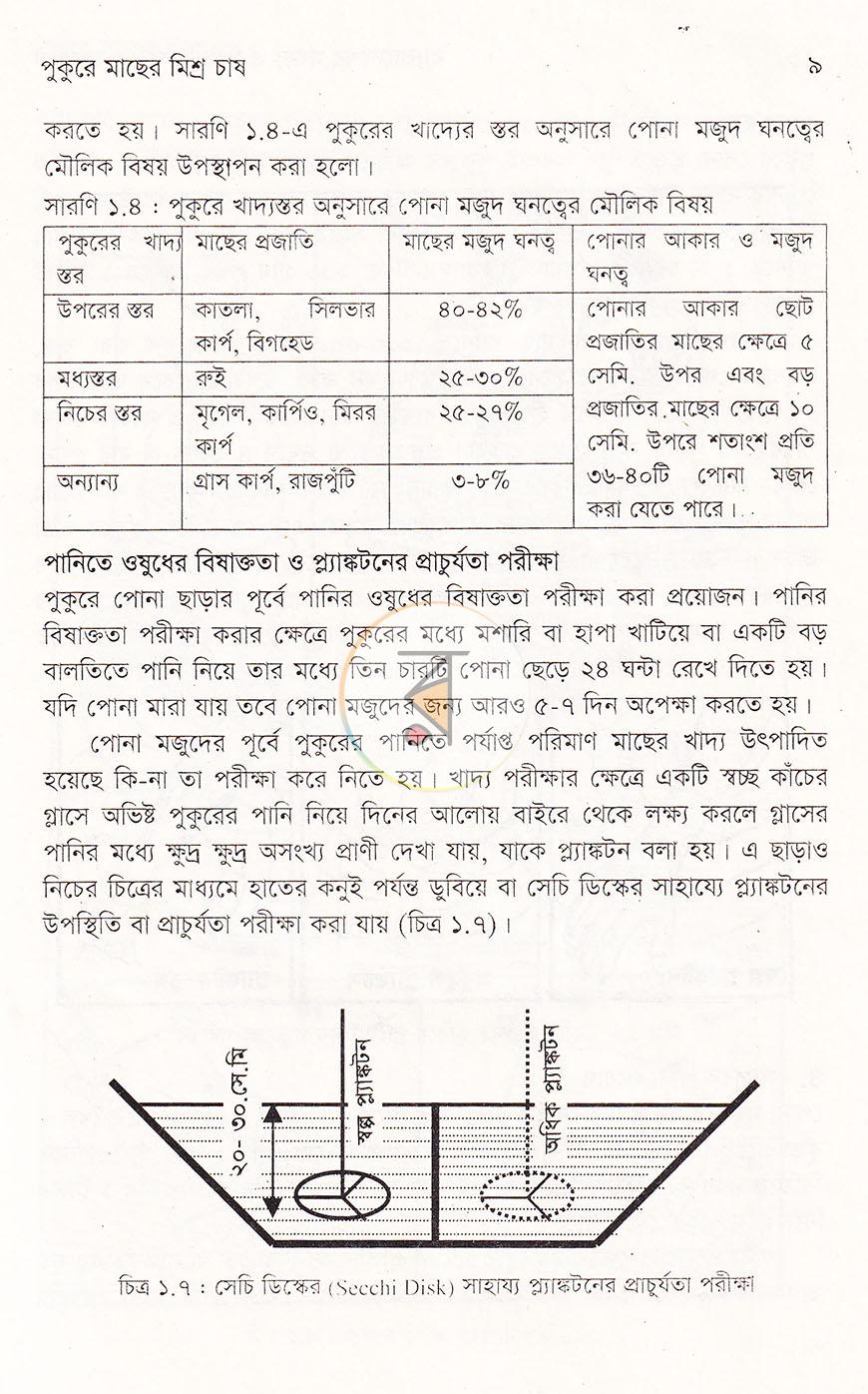 পাতা 13