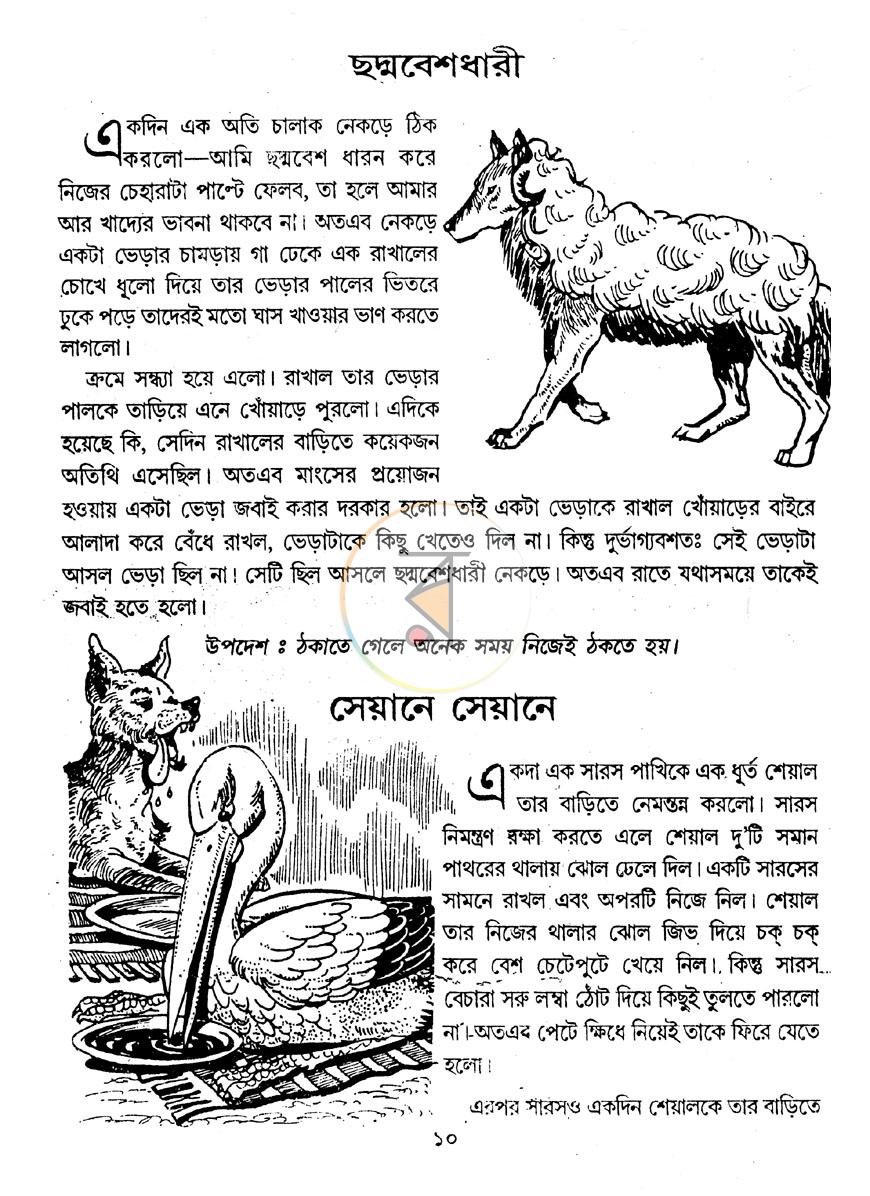পাতা 7