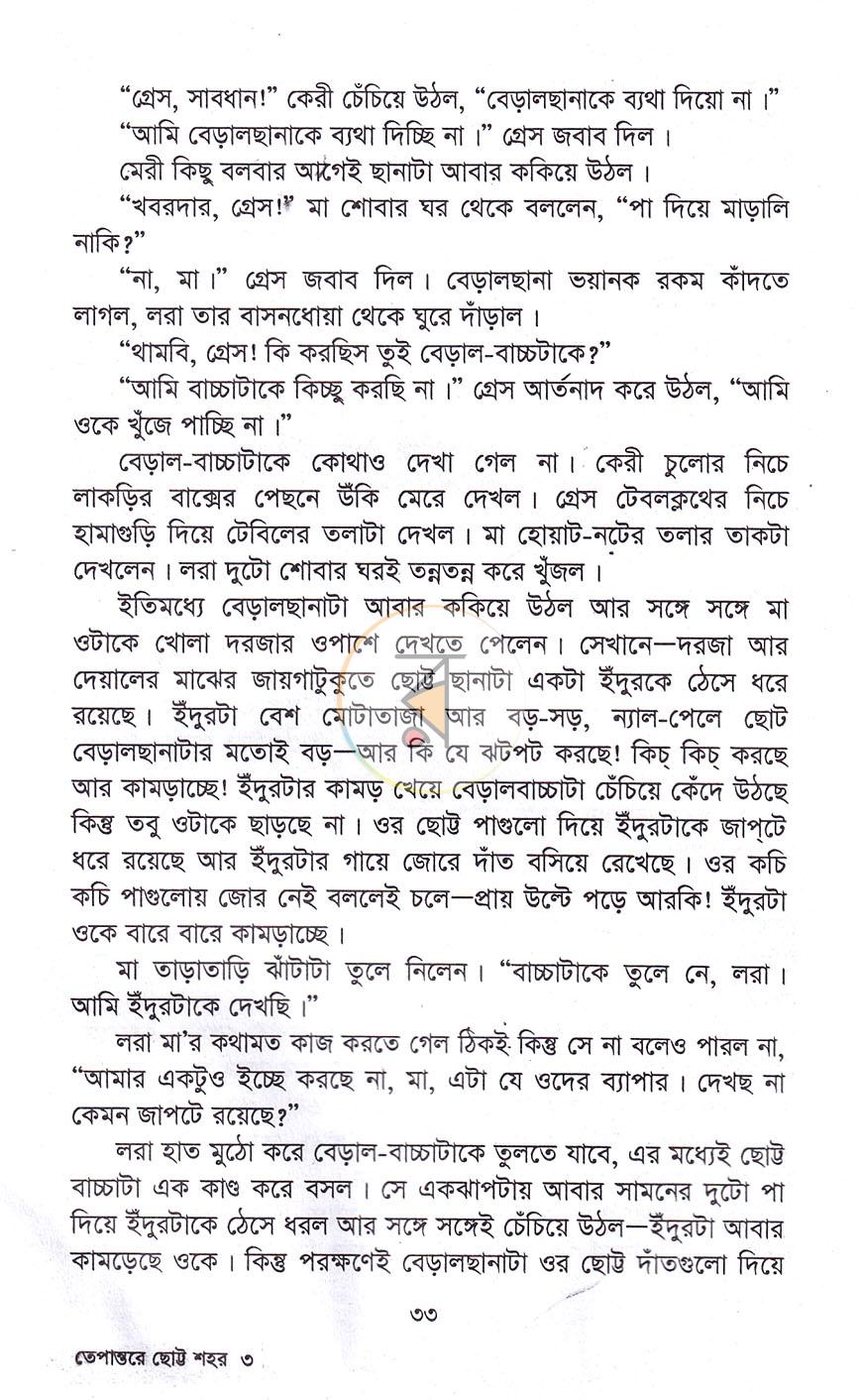 পাতা 19