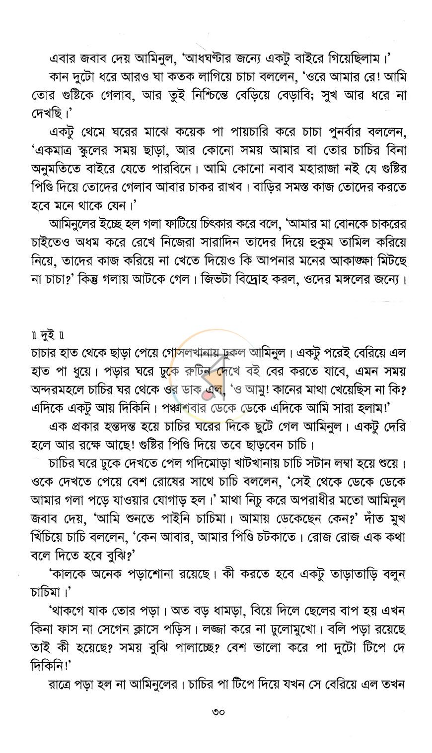 পাতা 13