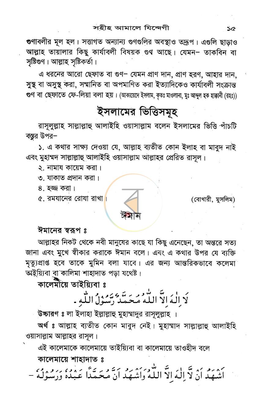 পাতা 8