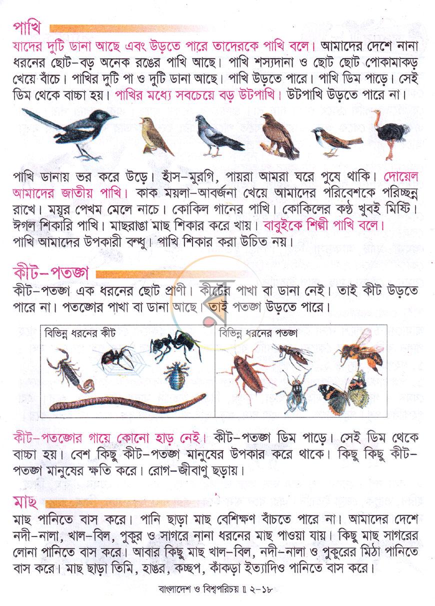পাতা 7
