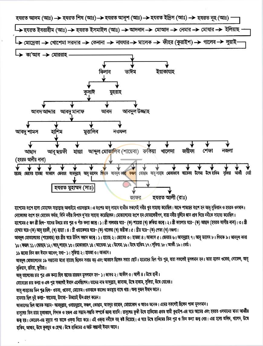 পাতা 13