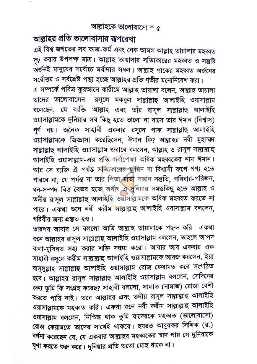 পাতা 13