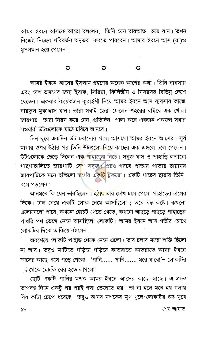পাতা 13