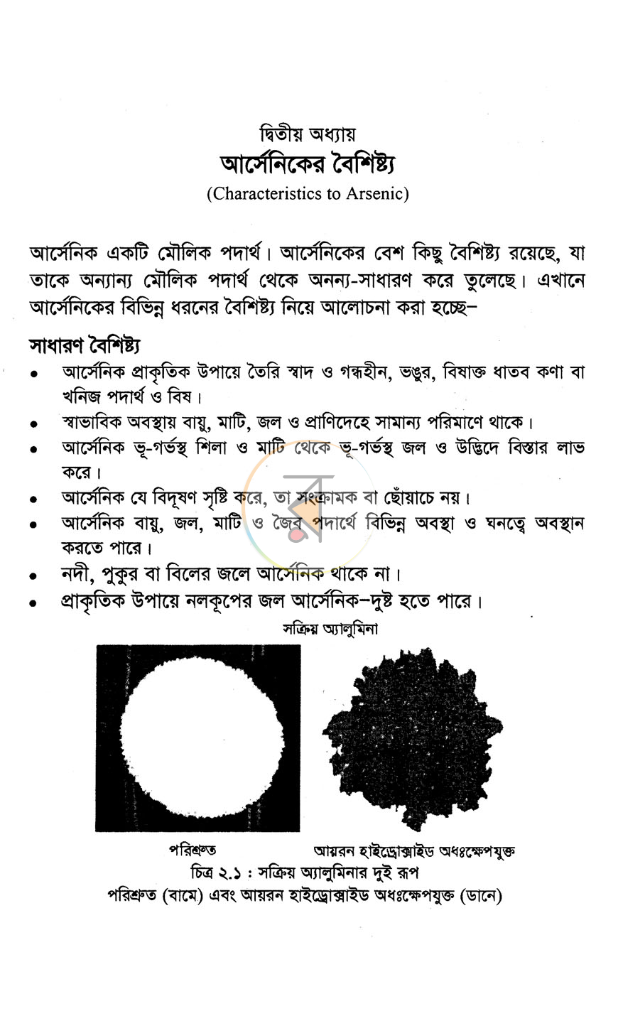 পাতা 11