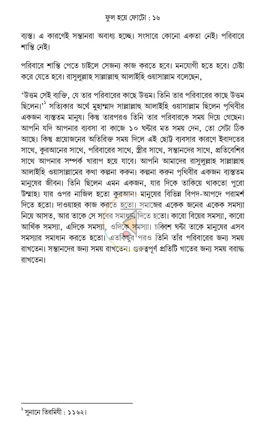 পাতা 13