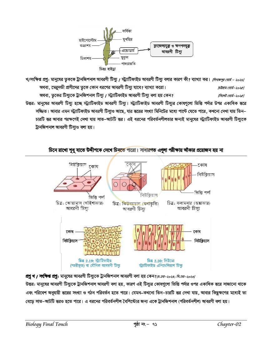 পাতা 11