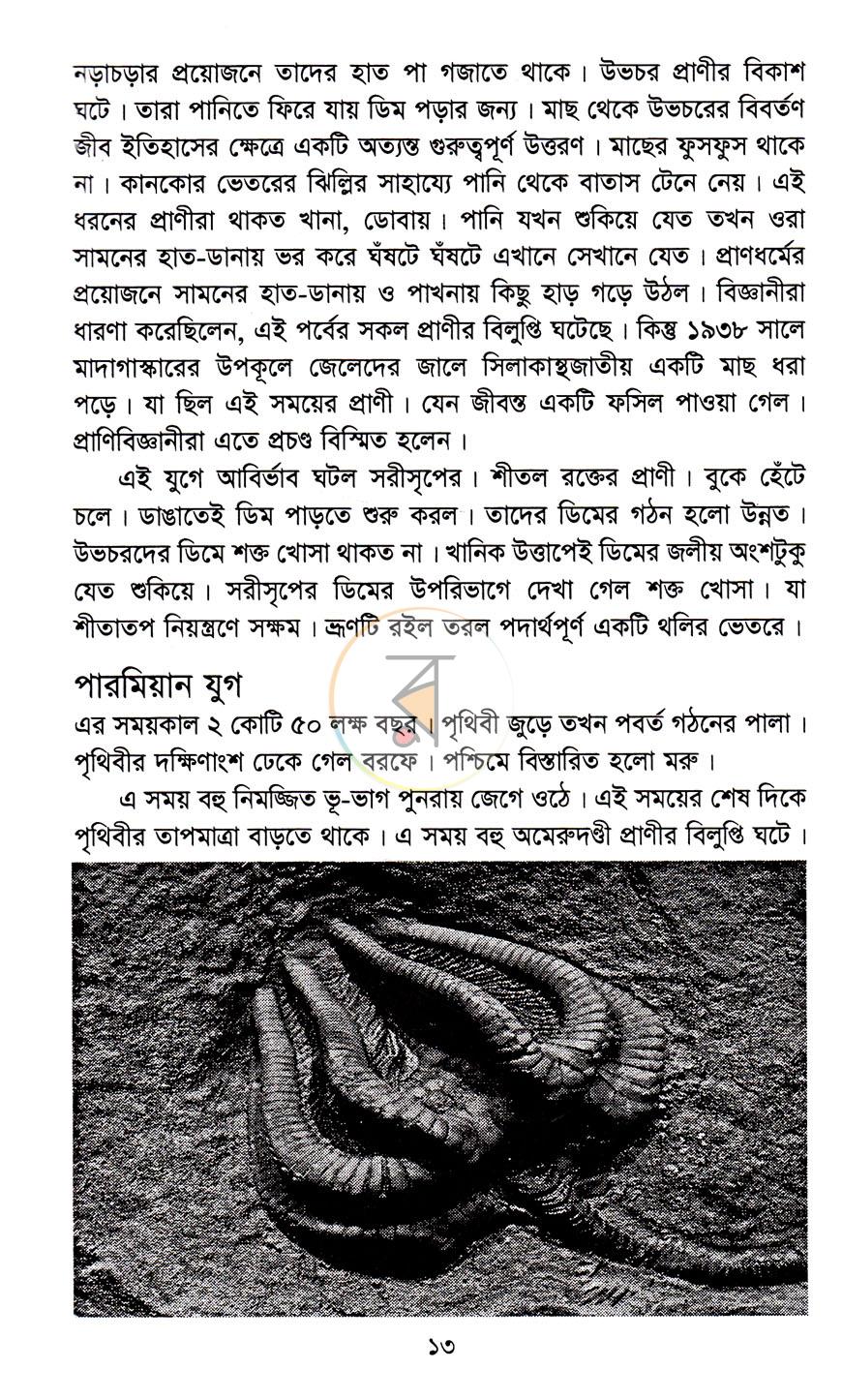 পাতা 8