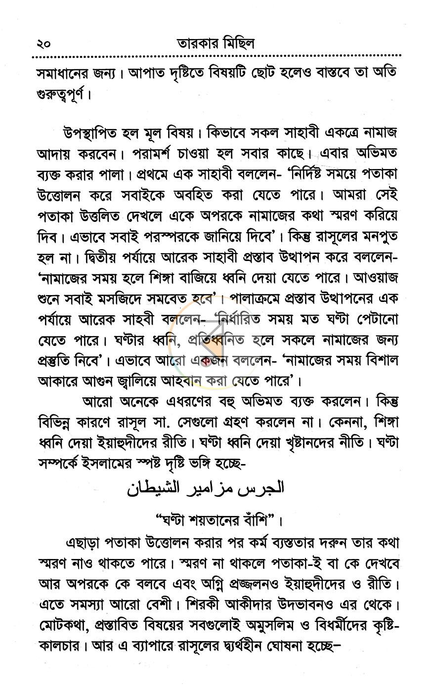 পাতা 8