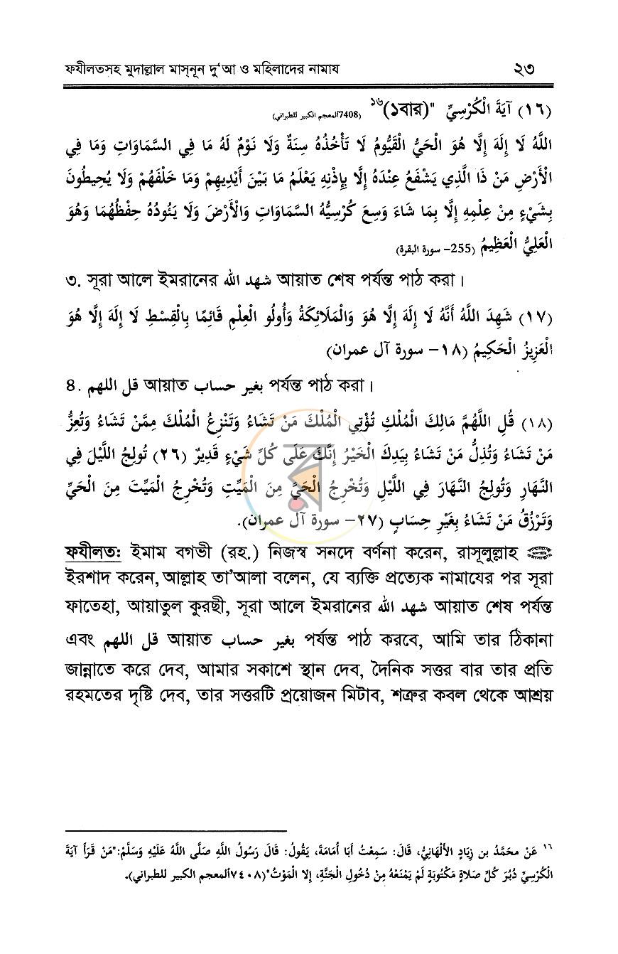 পাতা 11