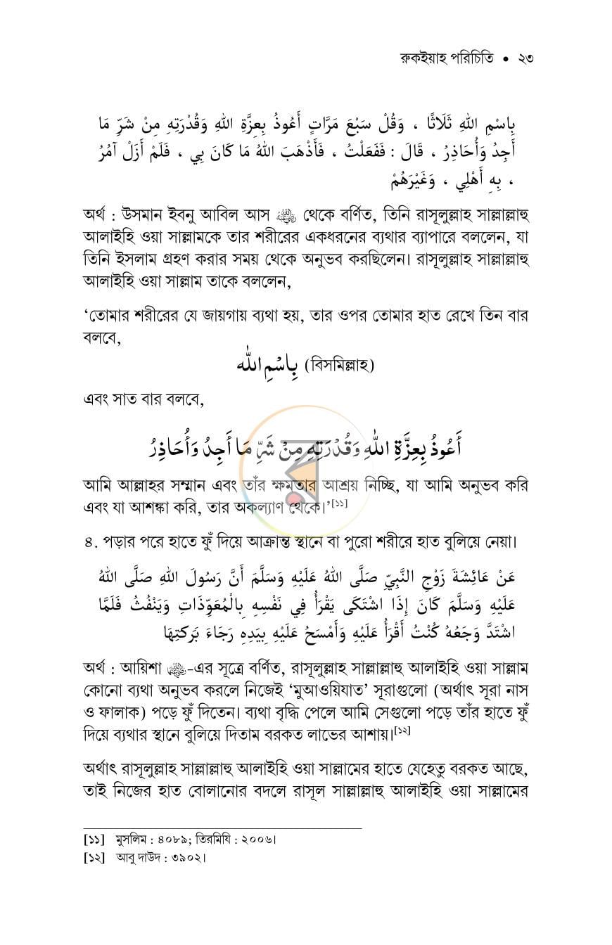 পাতা 19
