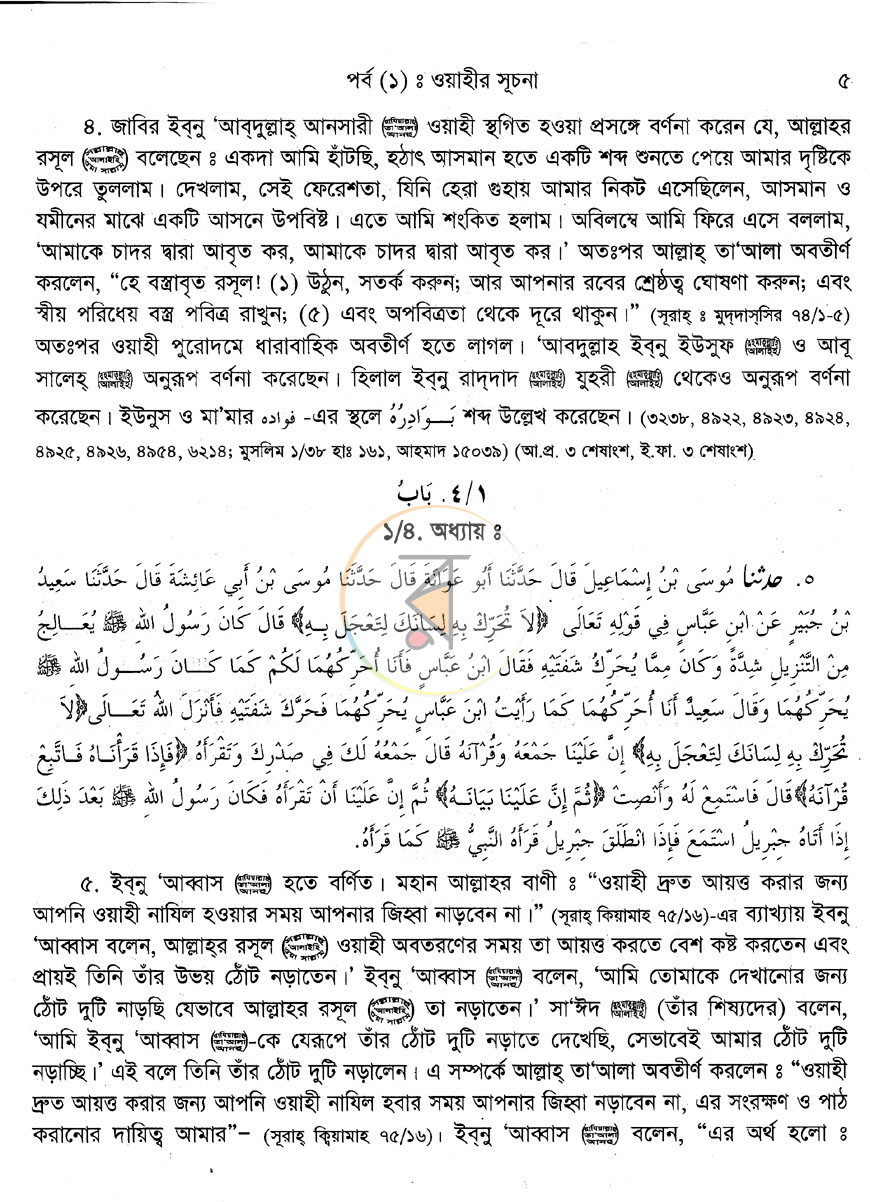 পাতা 11