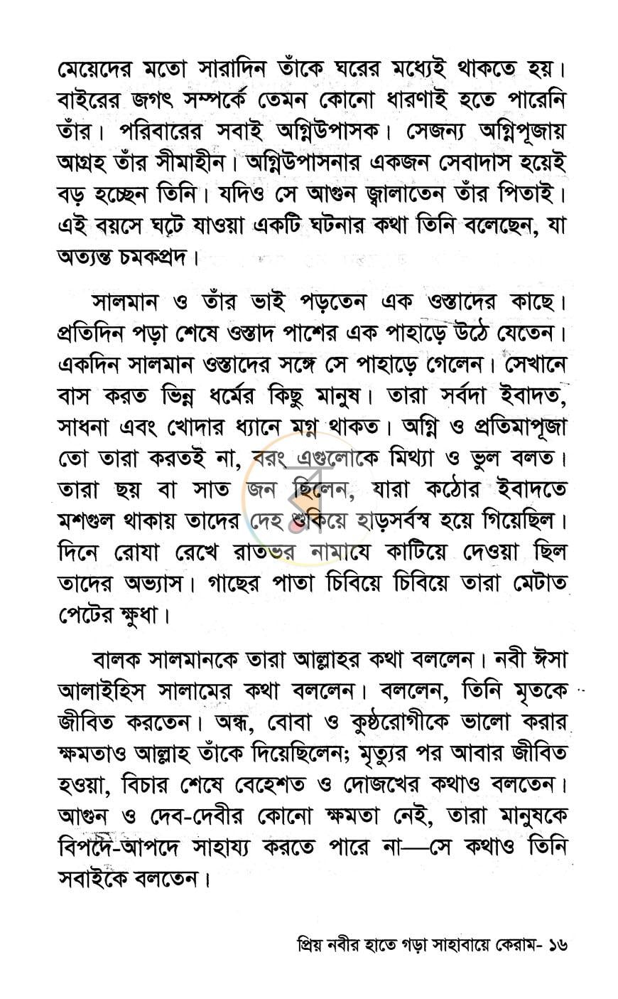 পাতা 11